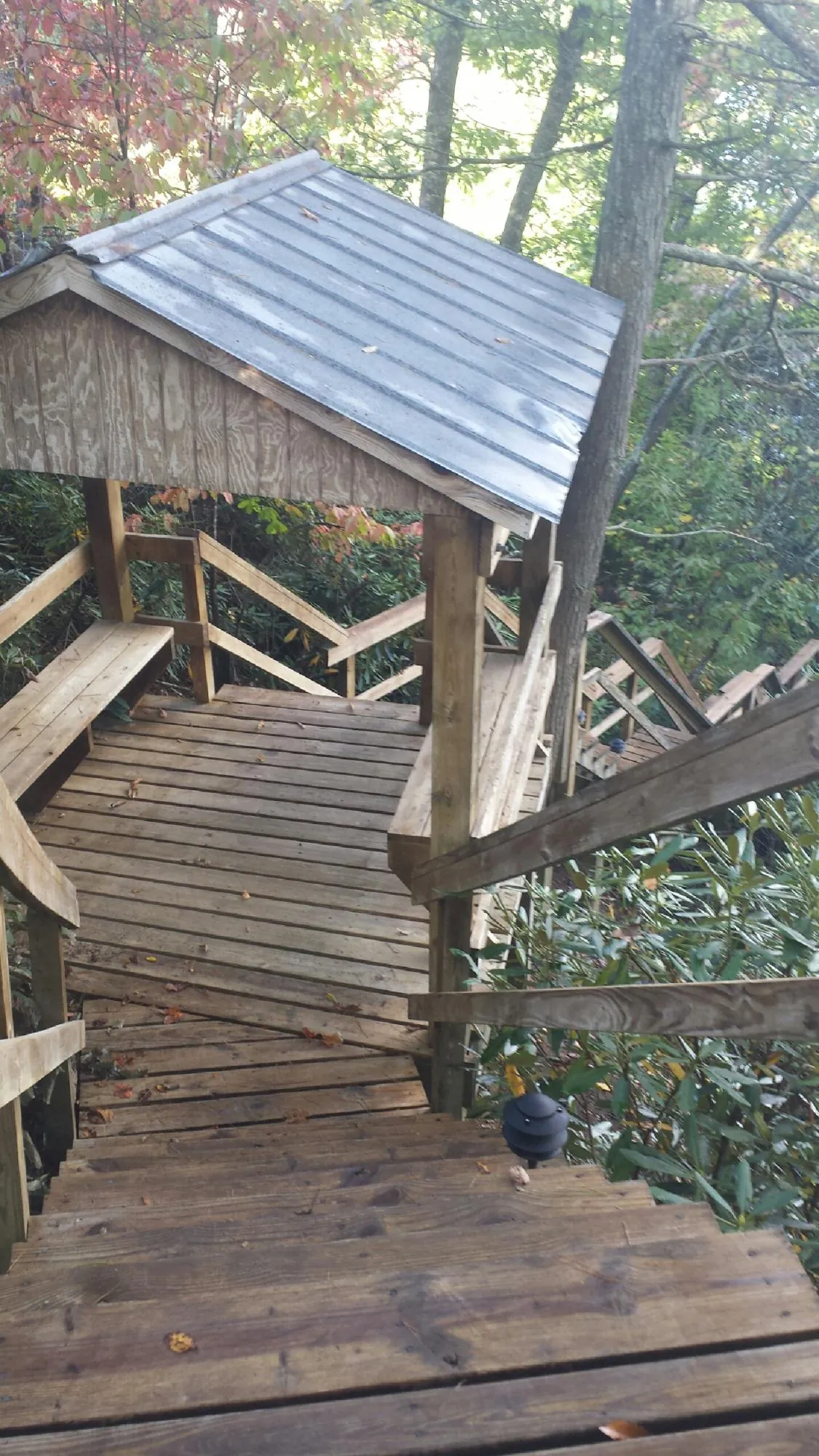 Metal roofed shelter over wooden steps on a wooded walkway — Skylight Repair & Installation work by our crew in Hazel Green