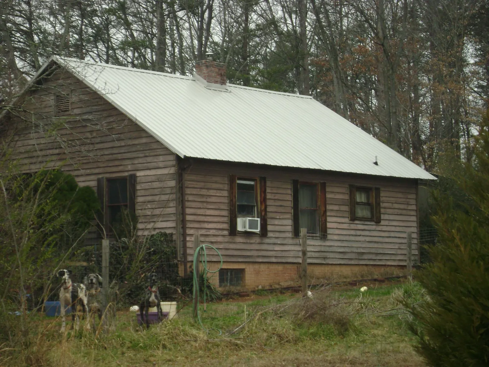 White metal roof on an old wood sided farmhouse, from a Asphalt Shingle Roof Repair job in Hazel Green